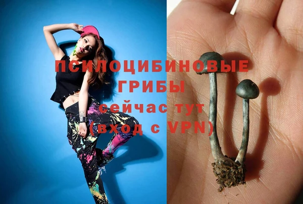 бутират Алапаевск