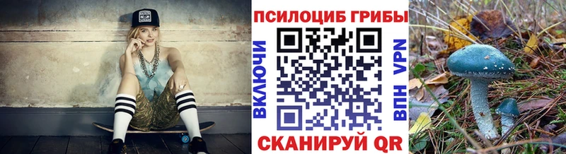 blacksprut tor  Зеленодольск  Псилоцибиновые грибы MAGIC MUSHROOMS 